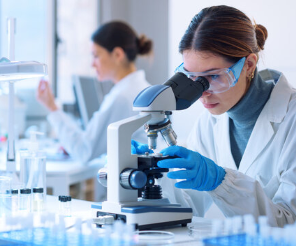 Pharmaceutical Sector